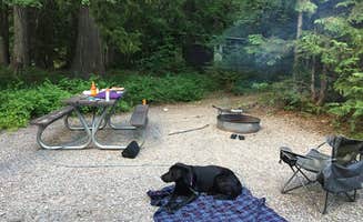 Dawn G.'s photo of camping with pets at Avalanche Campground — Glacier National Park near Glacier National Park