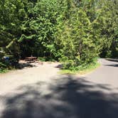 Review photo of Avalanche Campground — Glacier National Park by Dawn G., May 29, 2020