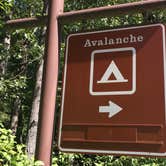 Review photo of Avalanche Campground — Glacier National Park by Dawn G., May 29, 2020