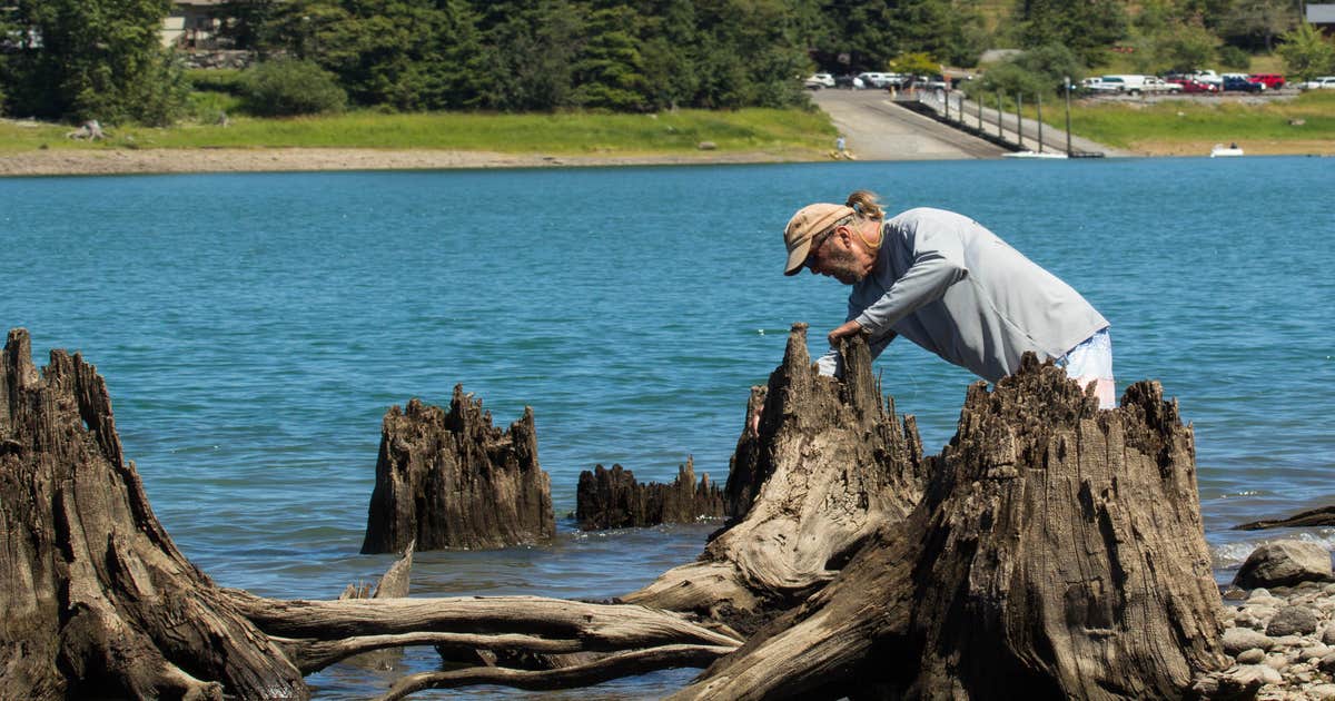 Camper-Submitted Photos of Alder Lake Park