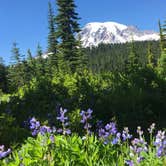 Review photo of Alder Lake Park by B M., May 29, 2020