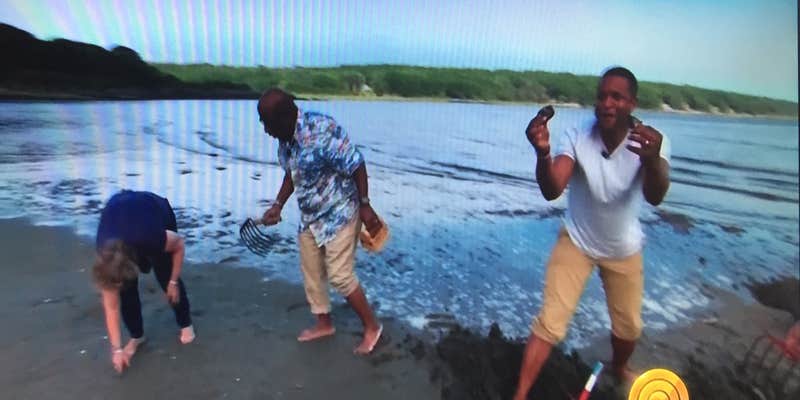 Camper submitted image from Sagadahoc Bay Campground