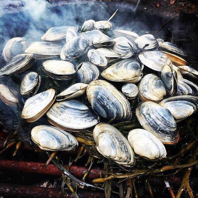 Camper-submitted photo at Sagadahoc Bay Campground near Alna, ME