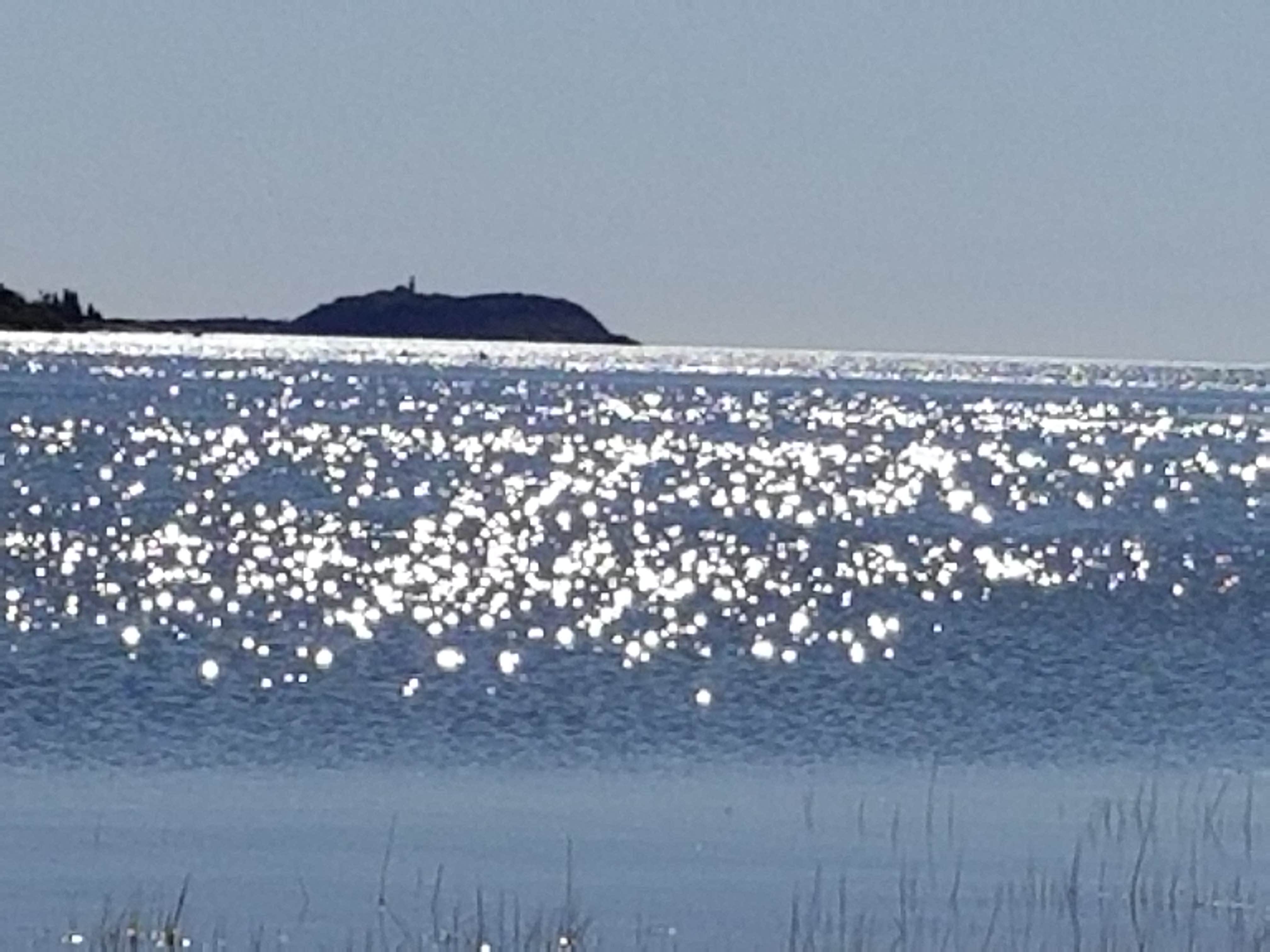Camper-submitted photo at Sagadahoc Bay Campground near Boothbay Harbor, ME