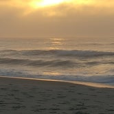 Review photo of Assateague State Park Campground by Andres C., May 27, 2020