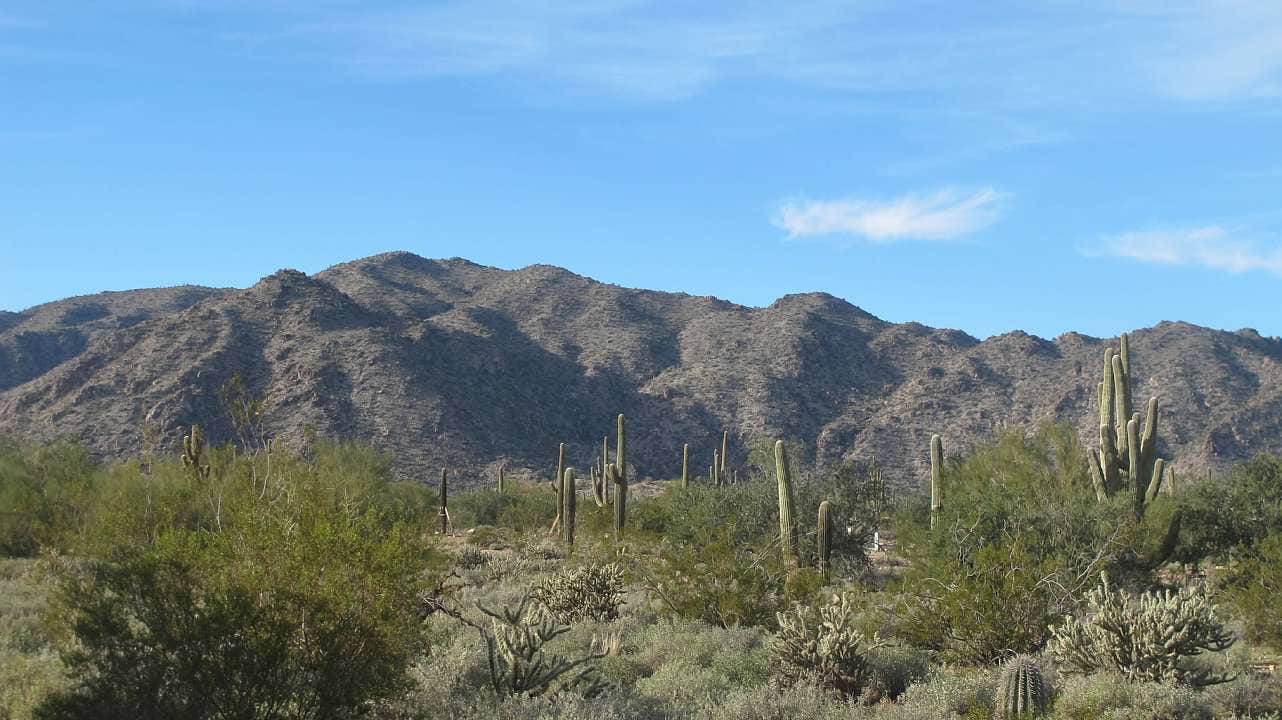 Beautiful desert