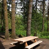 Review photo of Gales Creek Campground by Corinna B., May 25, 2017