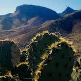 Review photo of Kartchner Caverns State Park Campground by Patti S., May 29, 2020