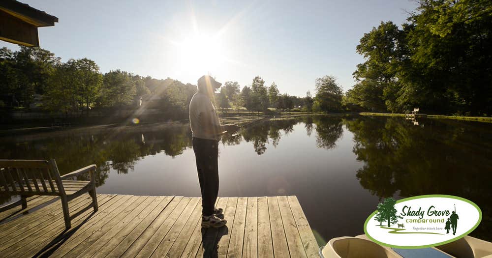 Camping near Starlite Camping Resort: Shady Grove Campground, Reinholds, Pennsylvania