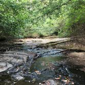 Review photo of Foster Falls Campground — South Cumberland State Park by Amanda R., October 1, 2017