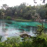 Review photo of Rainbow Springs State Park Campground by Ray P., May 26, 2020