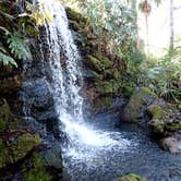 Review photo of Rainbow Springs State Park Campground by Ray P., May 26, 2020