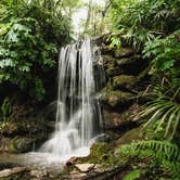 Review photo of Rainbow Springs State Park Campground by Ray P., May 26, 2020