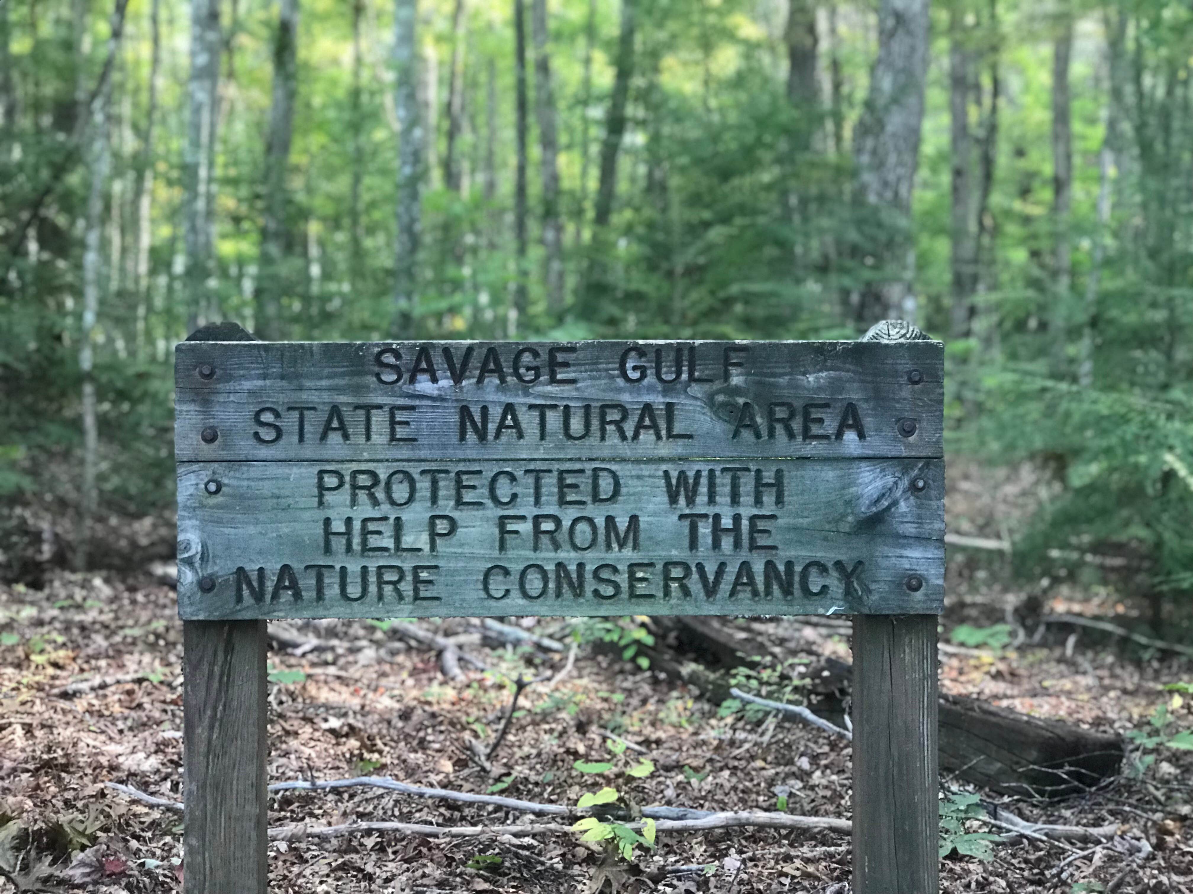 Camper-submitted photo at Foster Falls Campground — South Cumberland State Park near Signal Mountain, TN