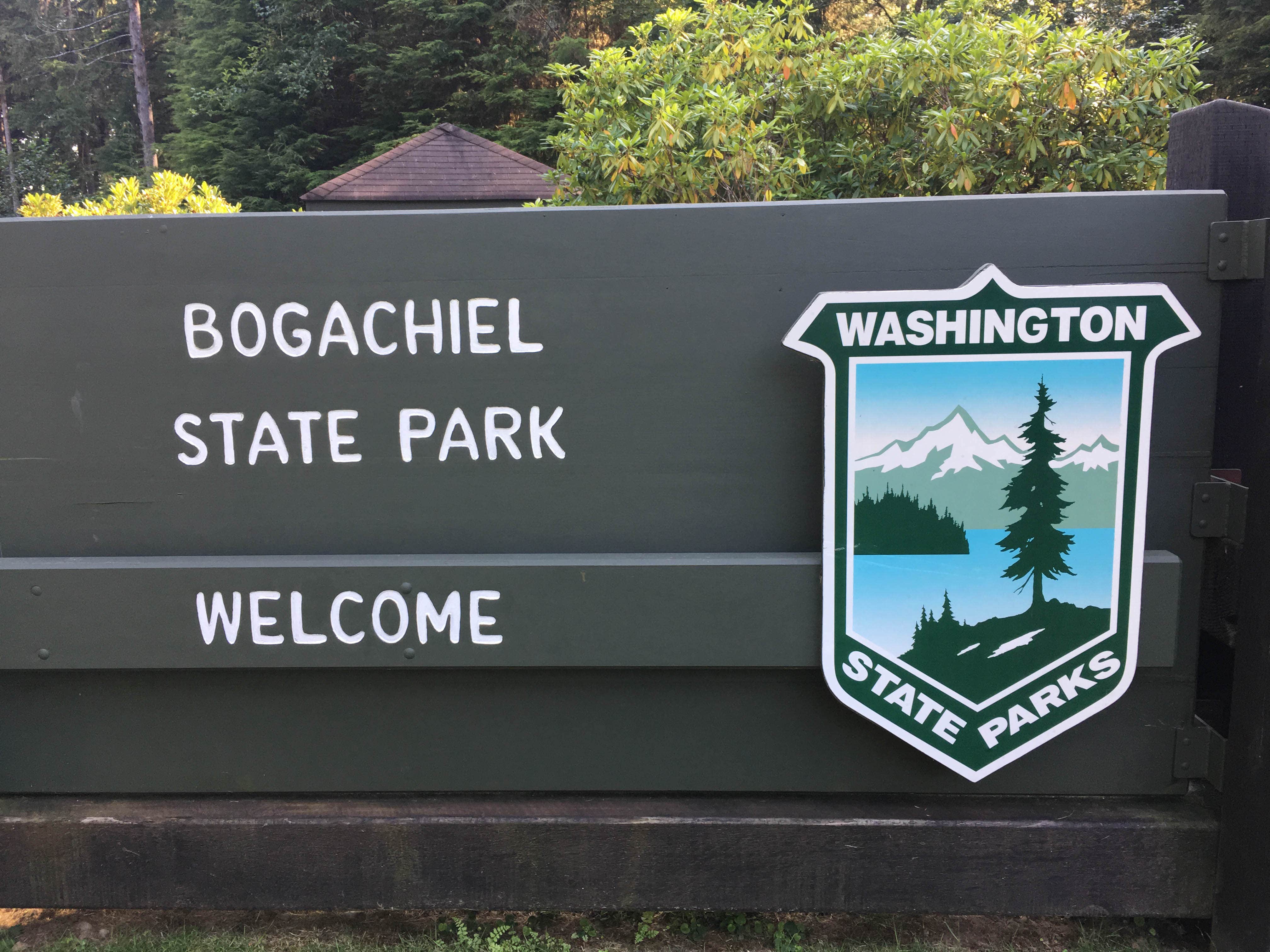 Camper-submitted photo at Bogachiel State Park Campground near Sekiu, WA