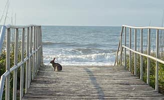 Zach H.'s photo of camping with pets at Myrtle Beach State Park Campground near Myrtle Beach, SC