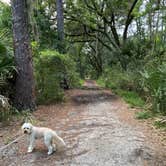 Review photo of Skidaway Island State Park Campground by Zach H., May 29, 2020