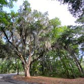 Review photo of Skidaway Island State Park Campground by Zach H., May 29, 2020