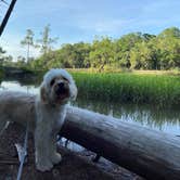 Review photo of Skidaway Island State Park Campground by Zach H., May 29, 2020