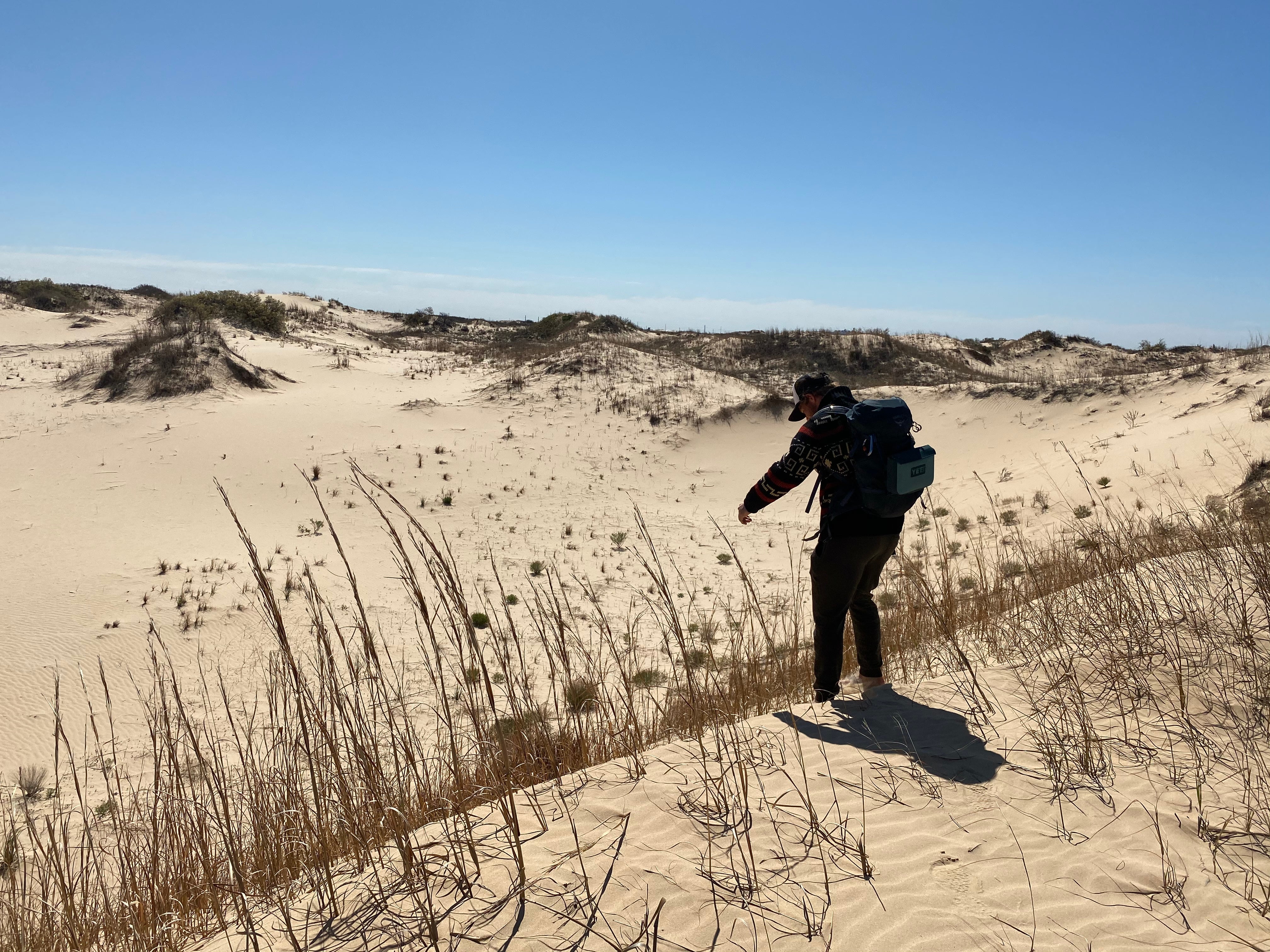 Checking out the dunes