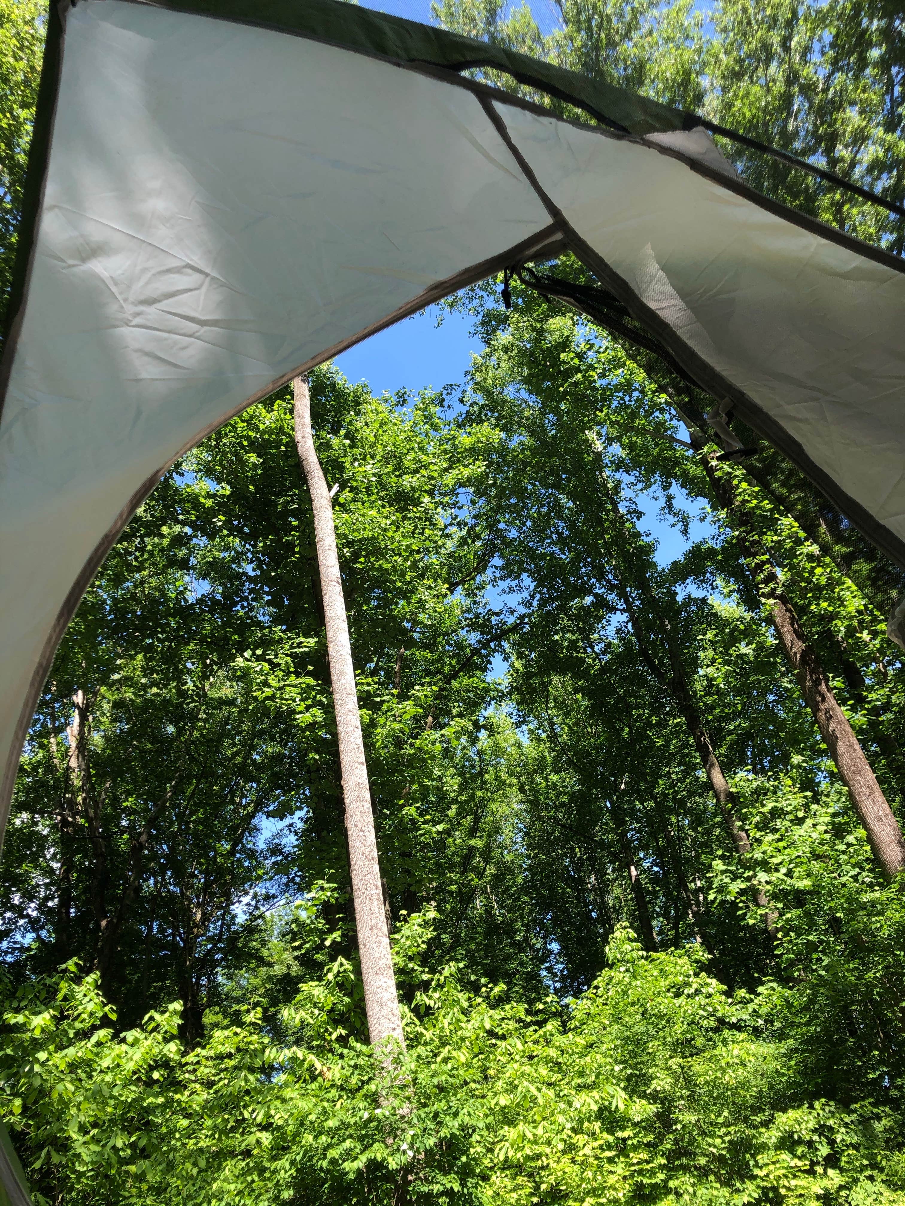 RL's photo at Powhatan State Park Campground near Mechanicsville, VA