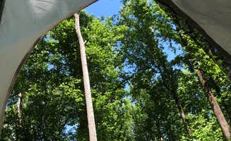 RL's photo at Powhatan State Park Campground near Burkeville, VA