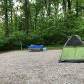 Review photo of Powhatan State Park Campground by RL , May 26, 2020