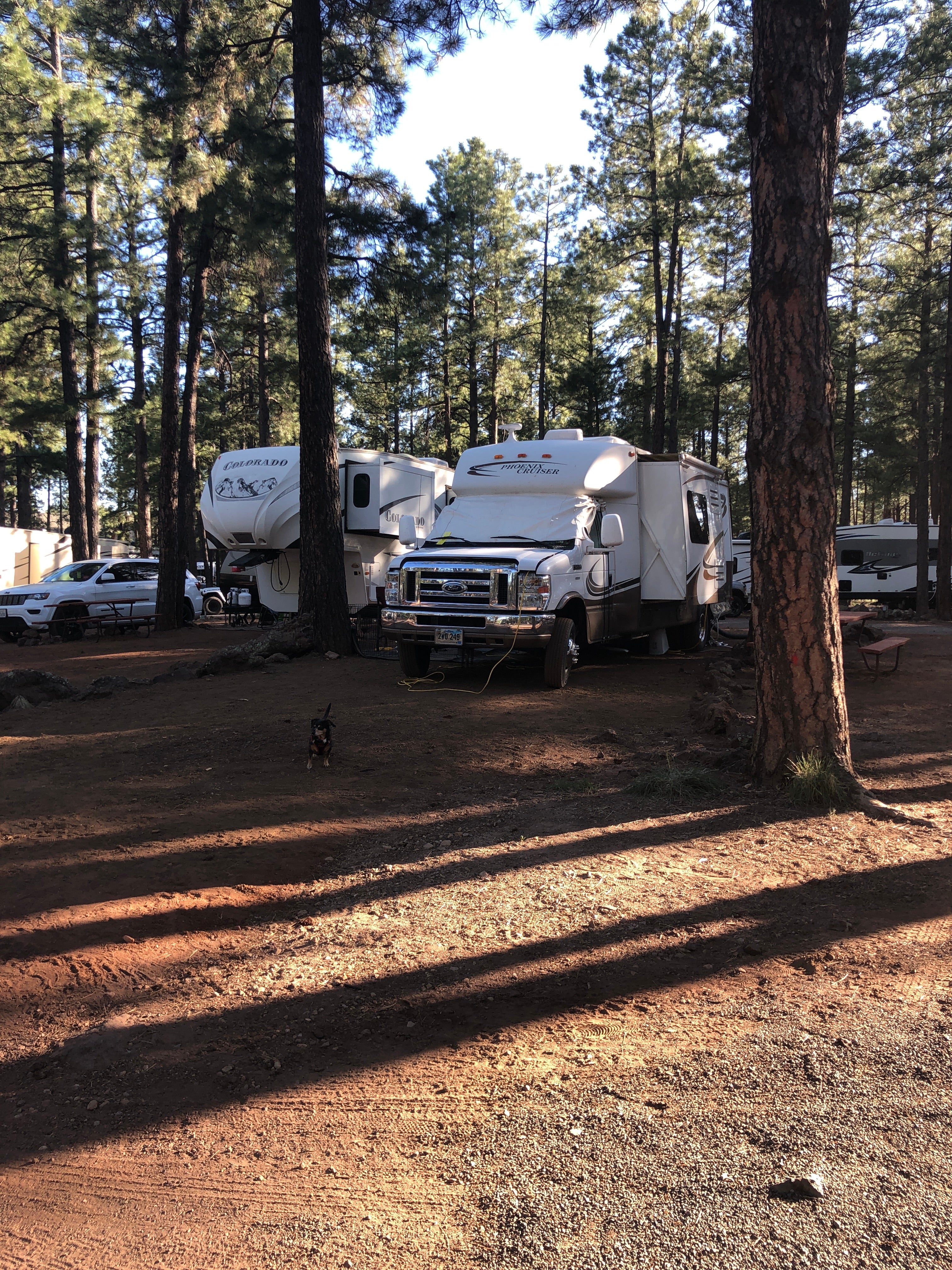 Camper submitted image from Woody Mountain Campground & RV Park - 5
