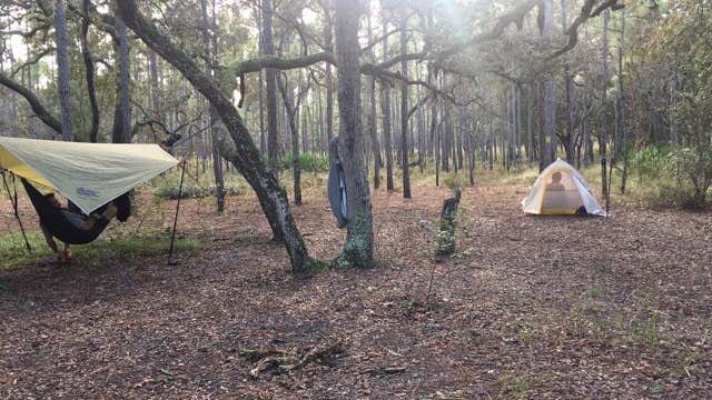 Jeanene A.'s photo of tent camping at Croom B Loop Primitive Site near Land O' Lakes, FL