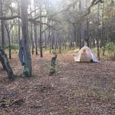 Review photo of Croom B Loop Primitive Site by Jeanene A., May 29, 2020