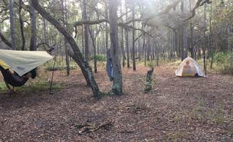 Jeanene A.'s photo at Croom B Loop Primitive Site near Bushnell, FL
