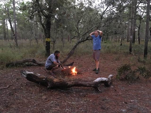 Camper-submitted photo at Croom B Loop Primitive Site near Lake Panasoffkee, FL