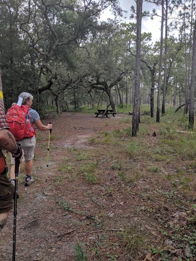 Camper-submitted photo at Croom B Loop Primitive Site near Brooksville, FL