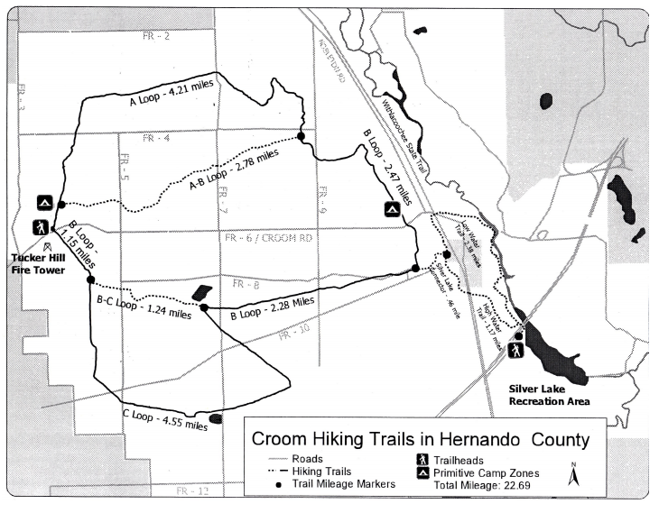 Camper submitted image from Croom B Loop Primitive Site - 4