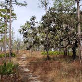 Review photo of Croom B Loop Primitive Site by Jeanene A., May 29, 2020