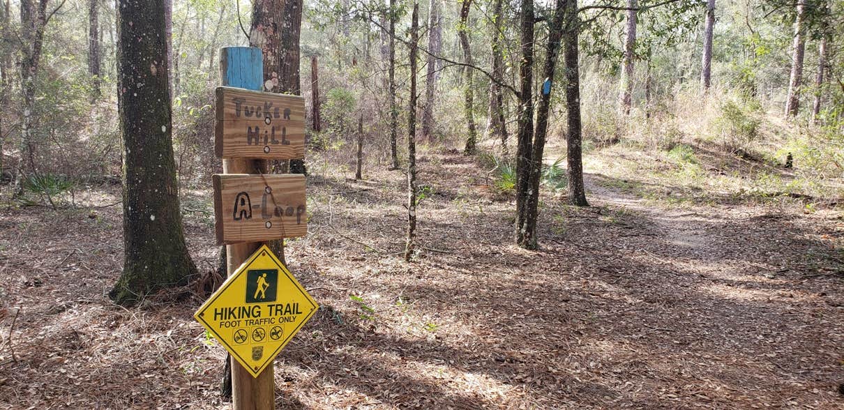 Camper-submitted photo at Croom B Loop Primitive Site near Lake Panasoffkee, FL