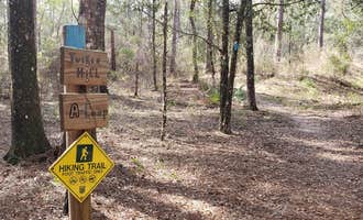 Camping near Colonel Robins Group Area: Croom B Loop Primitive Site, Nobleton, Florida