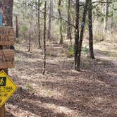 Review photo of Croom B Loop Primitive Site by Jeanene A., May 29, 2020