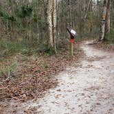 Review photo of Croom B Loop Primitive Site by Jeanene A., May 29, 2020