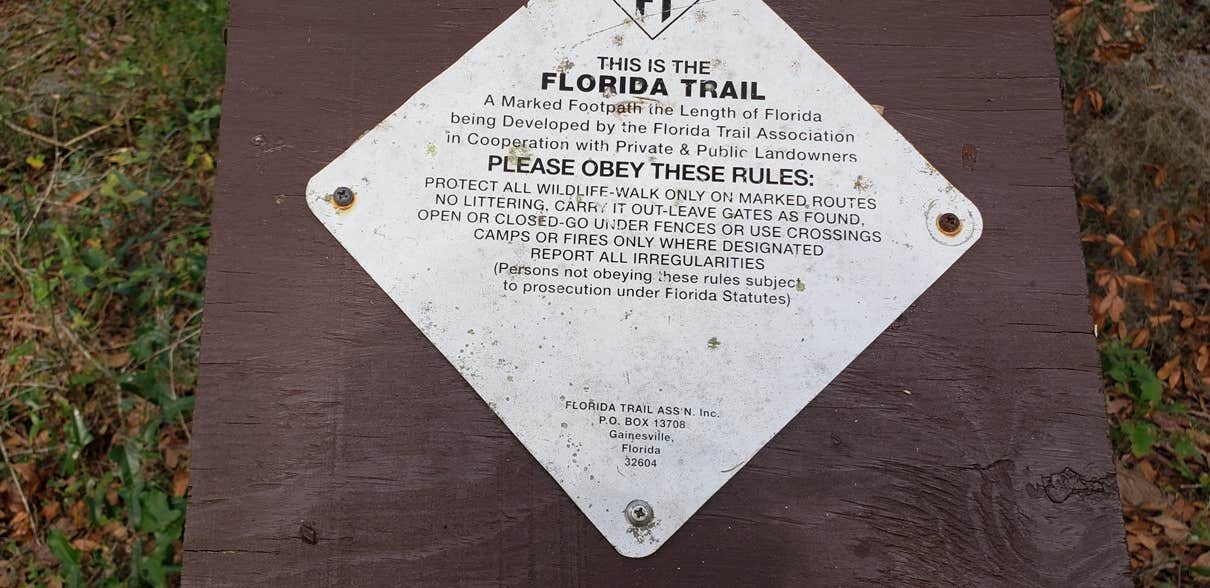 Camper-submitted photo at Croom B Loop Primitive Site near Lake Panasoffkee, FL