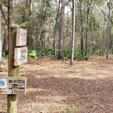 Review photo of Croom B Loop Primitive Site by Jeanene A., May 29, 2020
