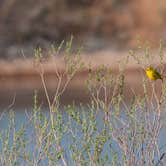 Review photo of Curt Gowdy State Park Campground by B M., May 29, 2020