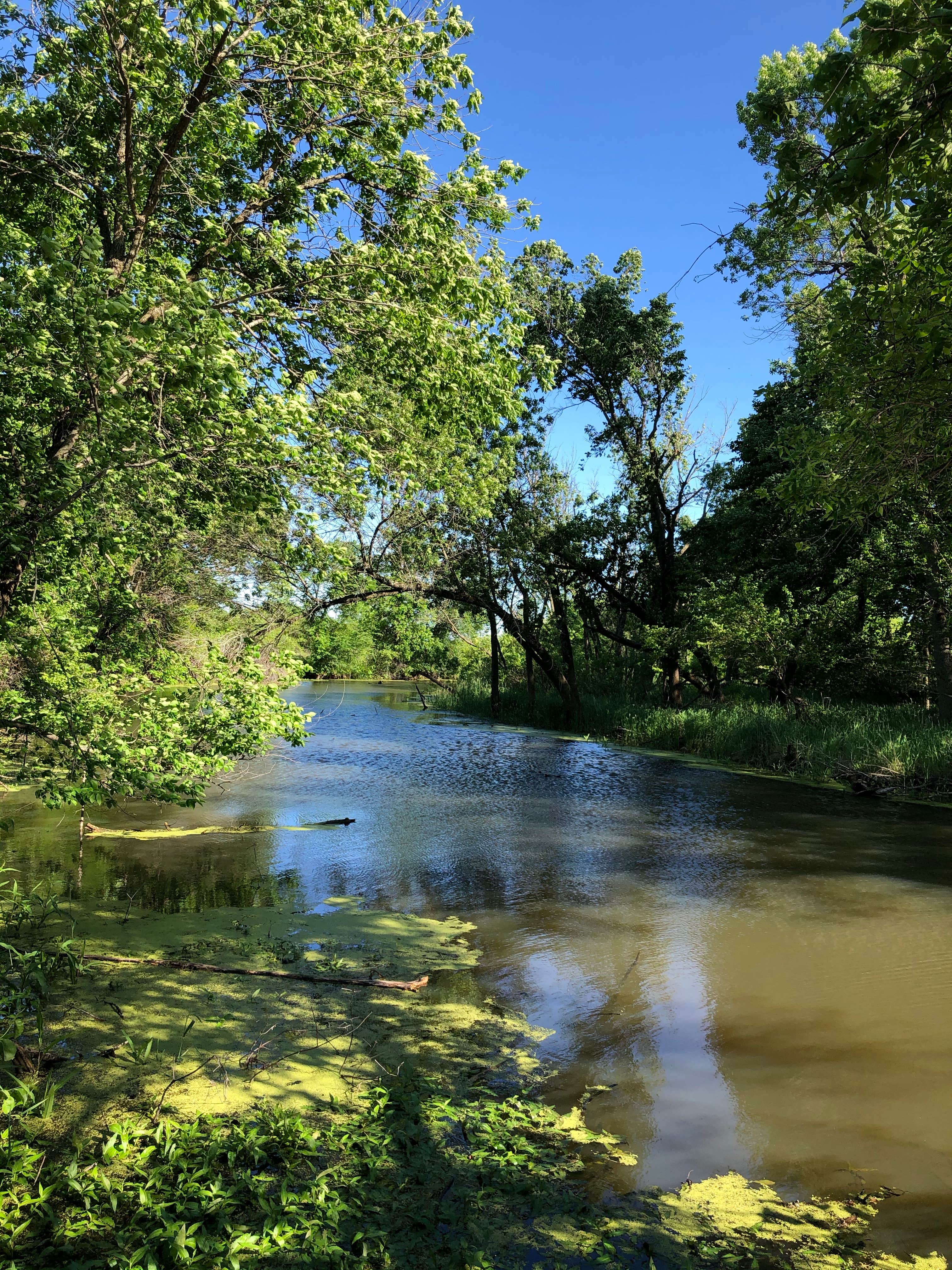 Camper-submitted photo at Chichaqua Bottoms Greenbelt near Collins, IA