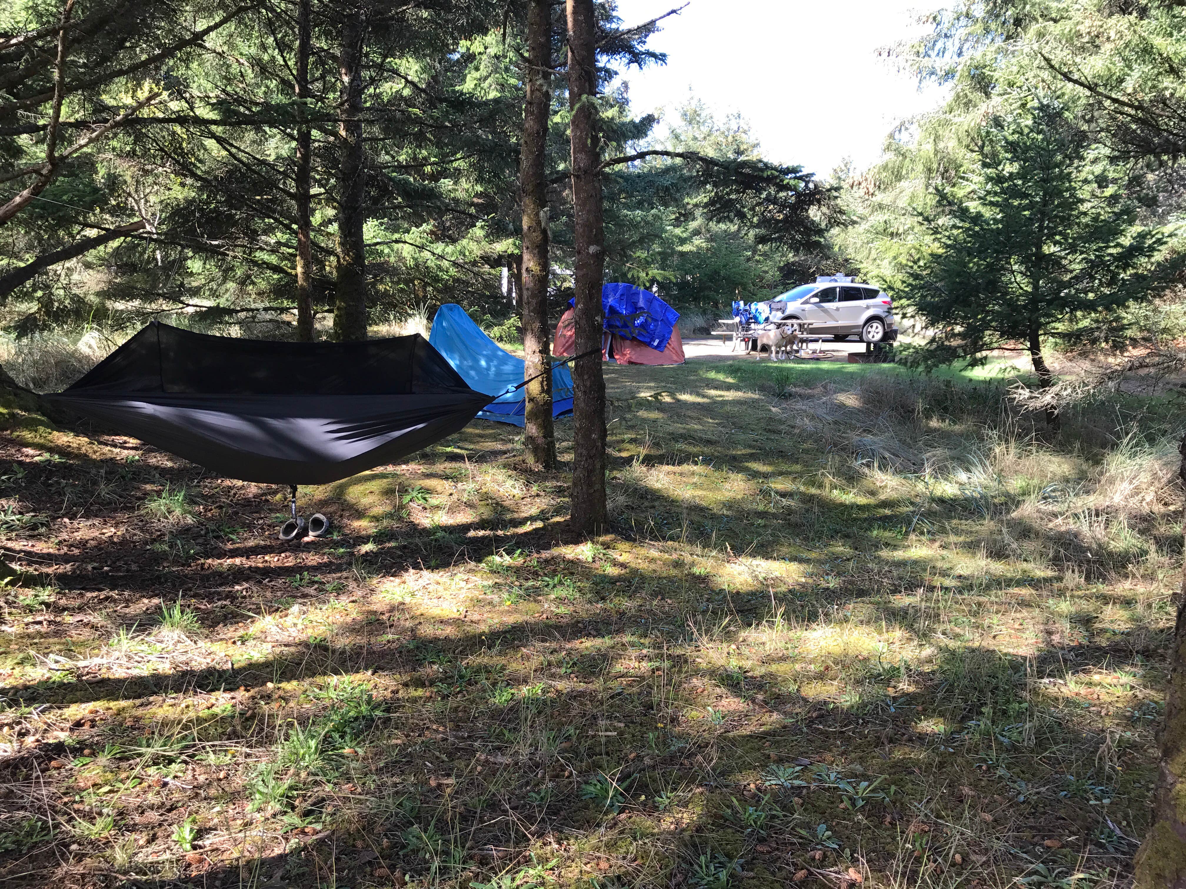 Sam C.'s photo at Cape Disappointment State Park Campground near Gearhart, OR