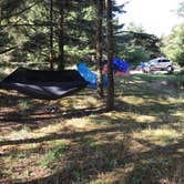 Review photo of Cape Disappointment State Park Campground by Sam C., October 2, 2017