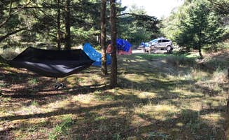 Sam C.'s photo at Cape Disappointment State Park Campground near Warrenton, OR