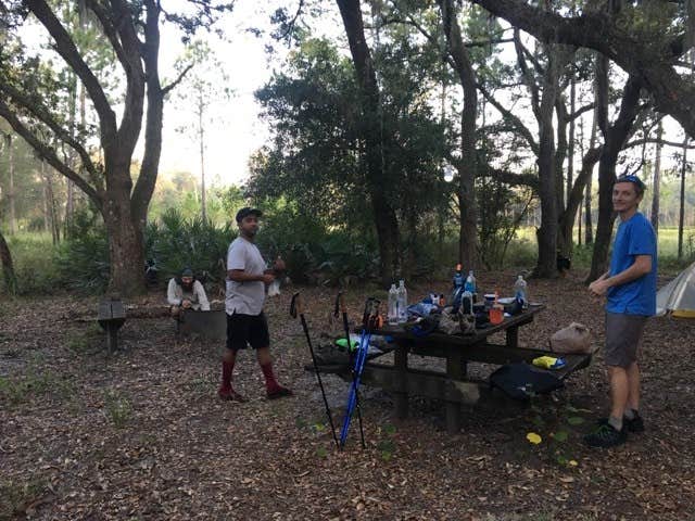 Camper submitted image from Foster Bridge Primitive Site Green Swamp West - 2