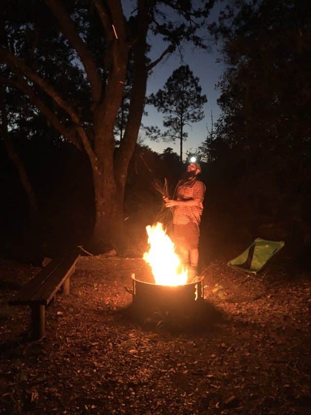 Camper-submitted photo at Foster Bridge Primitive Site Green Swamp West near Trilby, FL