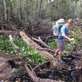 Review photo of Foster Bridge Primitive Site Green Swamp West by Jeanene A., May 30, 2020