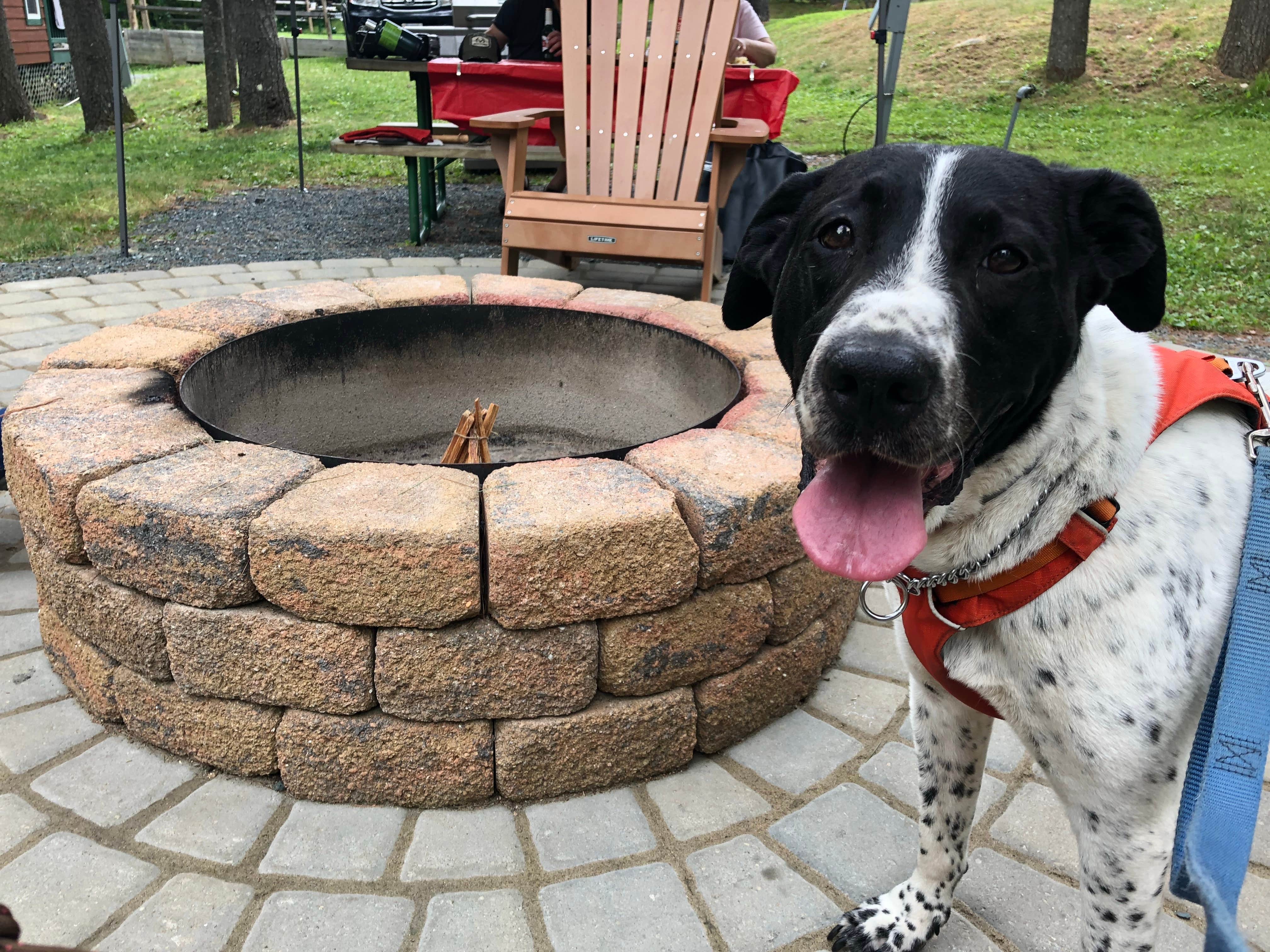 Camper-submitted photo at Quechee-Pine Valley KOA near Lyme, NH